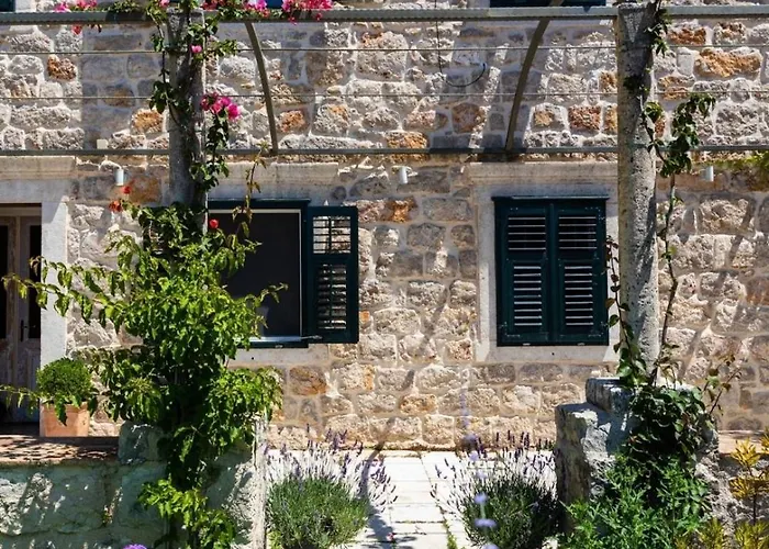 Apartament Ani Coral