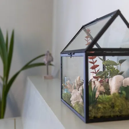 Apartment Ani Coral *