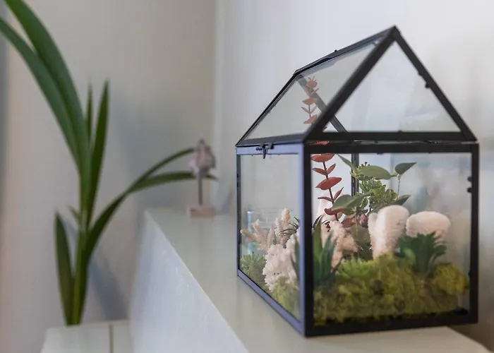 Διαμέρισμα Ani Coral *